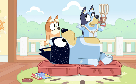 bluey season 1 episode 2 hospital