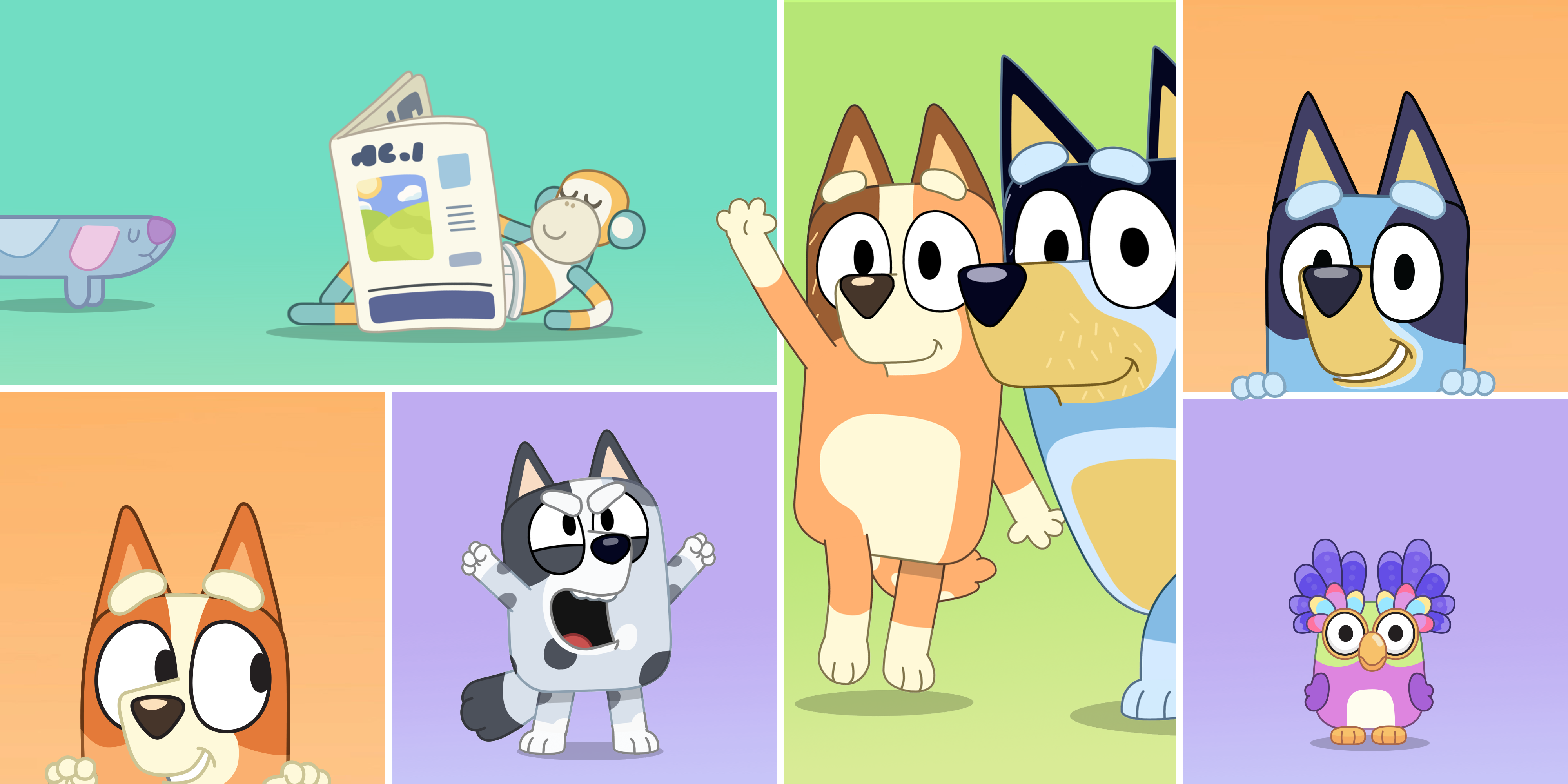 new bluey minisodes trailer